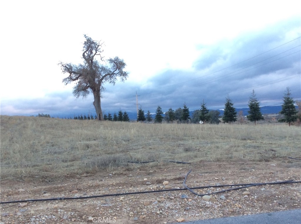 1280 Lot 8 Fire Rock Loop