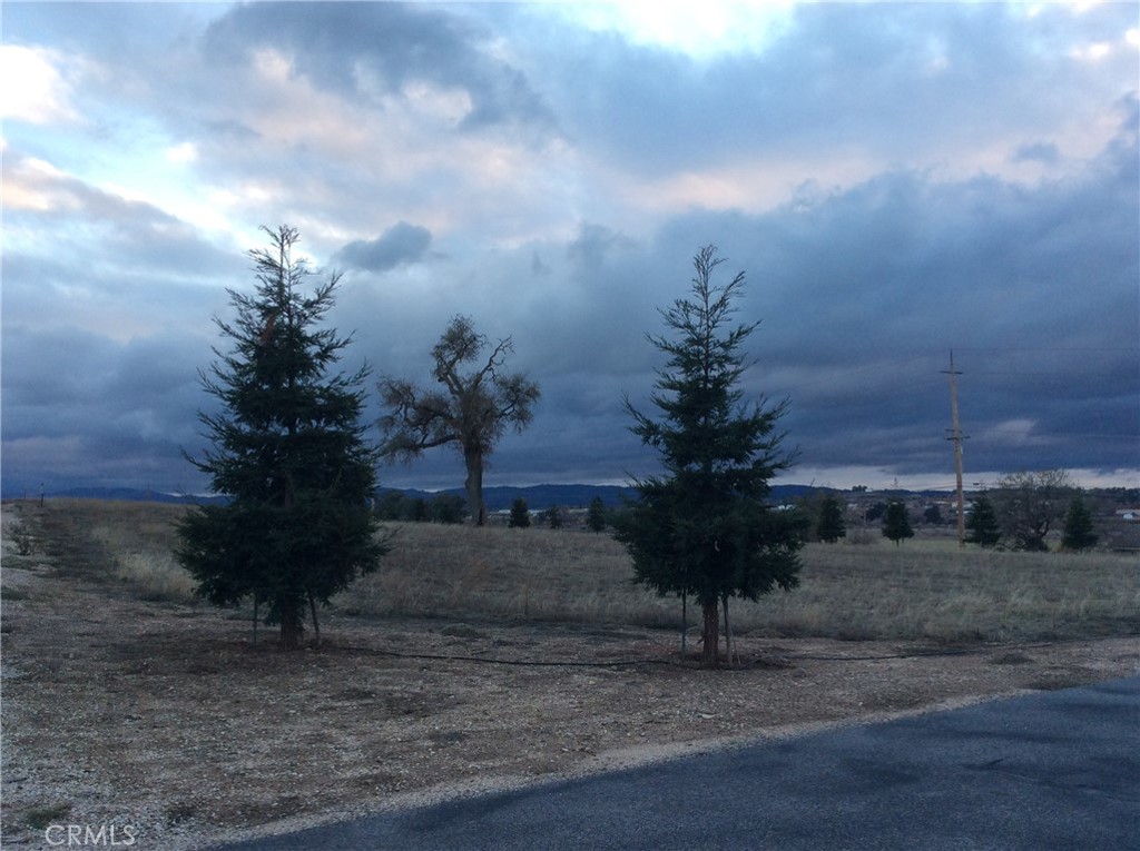 1280 Lot 8 Fire Rock Loop