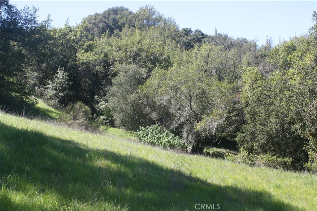 12000 San Marcos Road