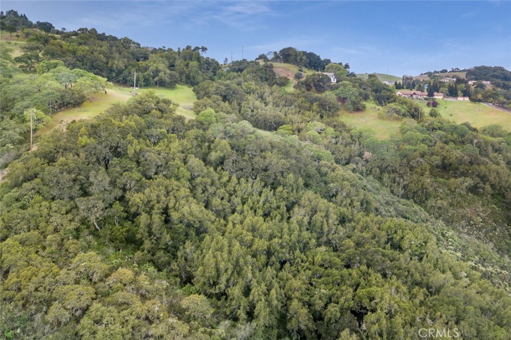 11955 San Cayetano Road