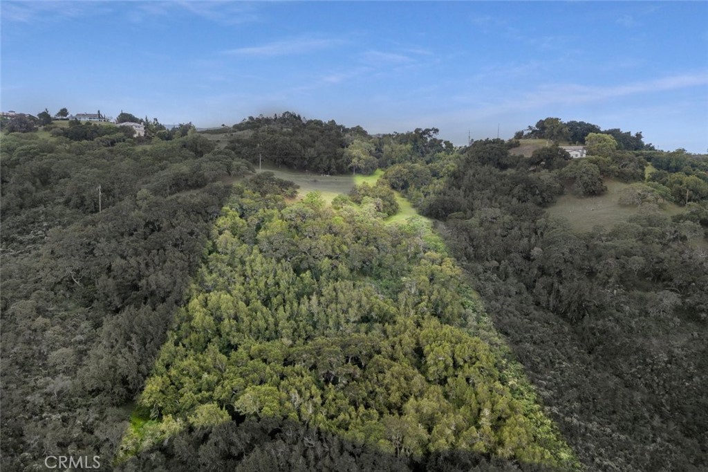 11955 San Cayetano Road