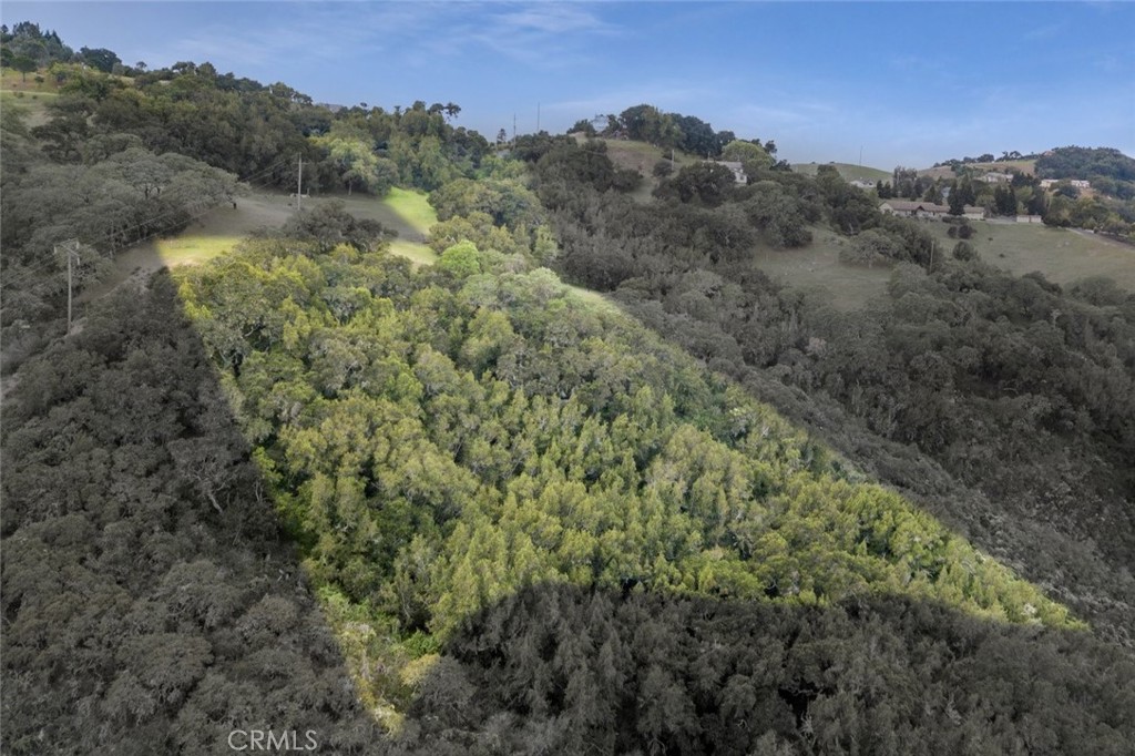 11955 San Cayetano Road