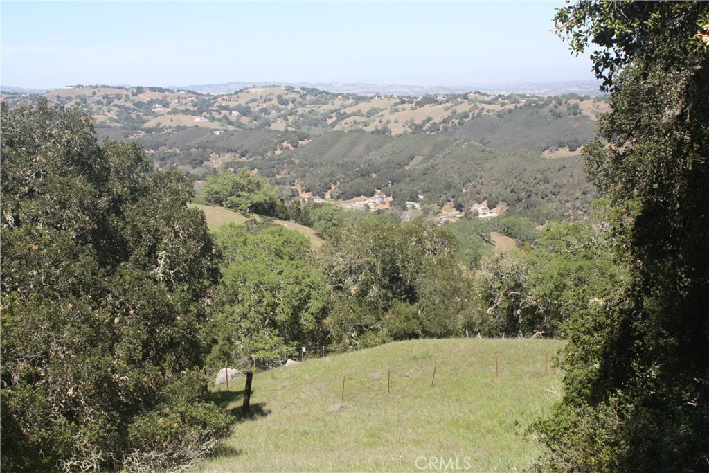 11955 San Cayetano Road