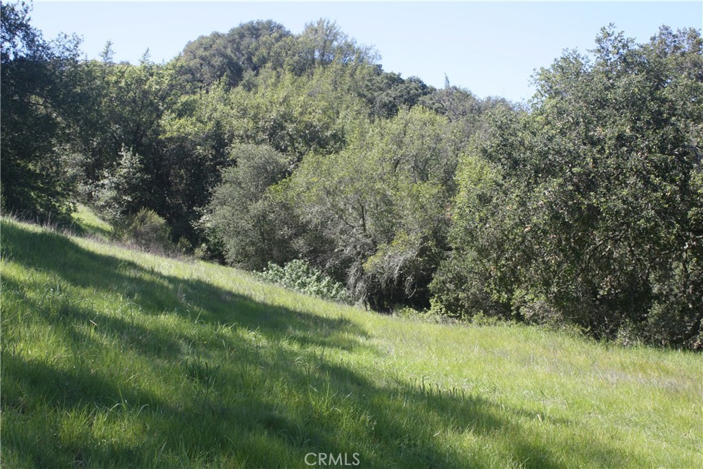 11955 San Cayetano Road