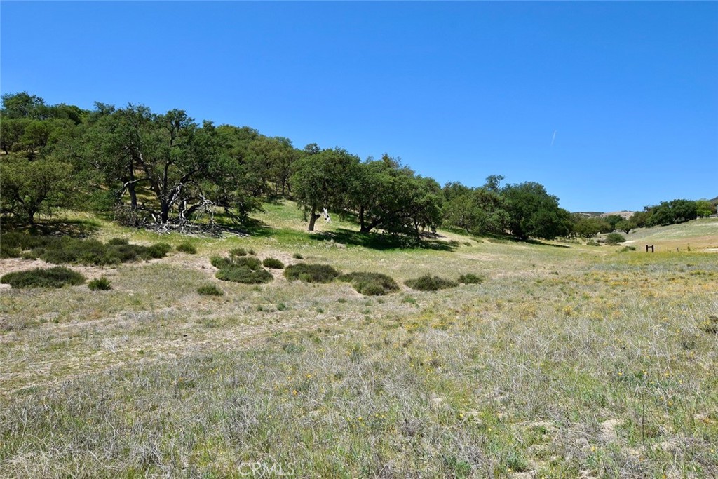 70314 New Pleyto Road