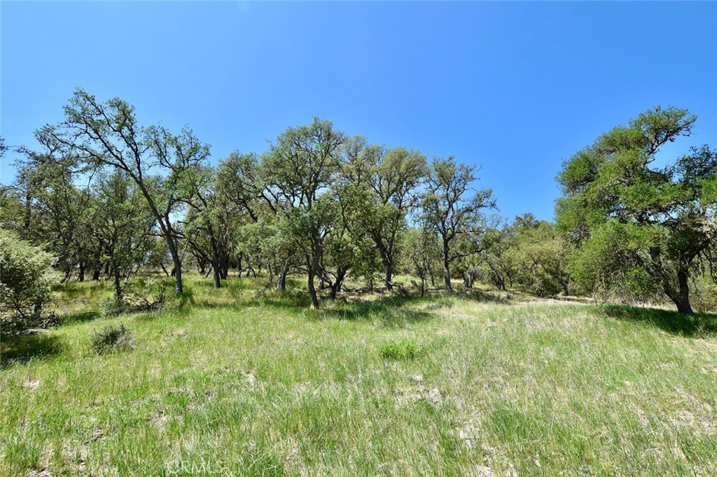 70314 New Pleyto Road