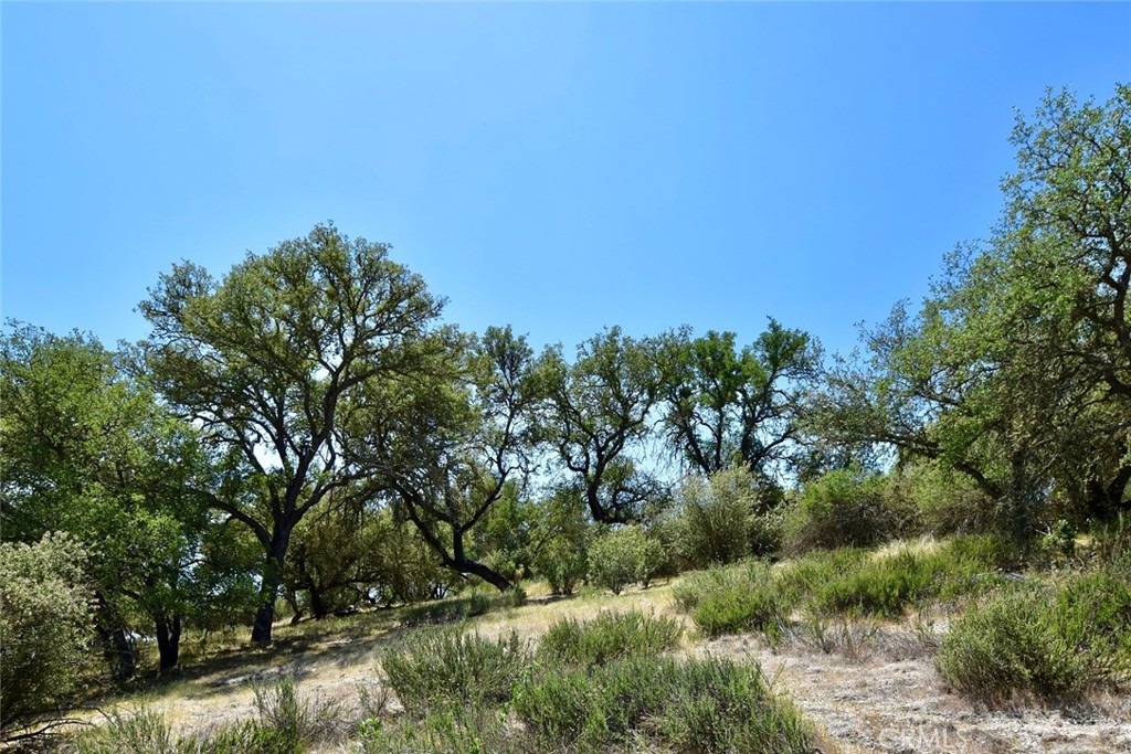 70314 New Pleyto Road