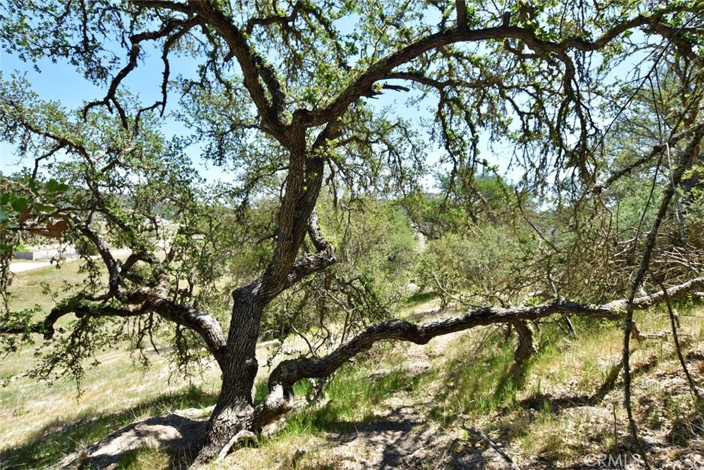 70314 New Pleyto Road