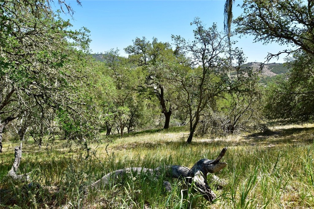 70314 New Pleyto Road