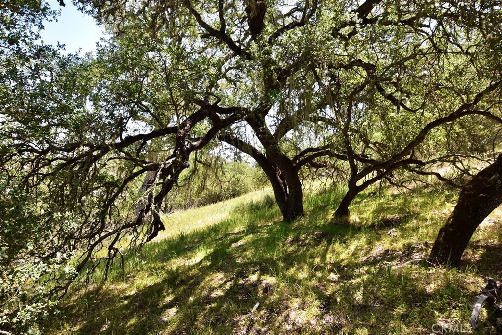 70314 New Pleyto Road