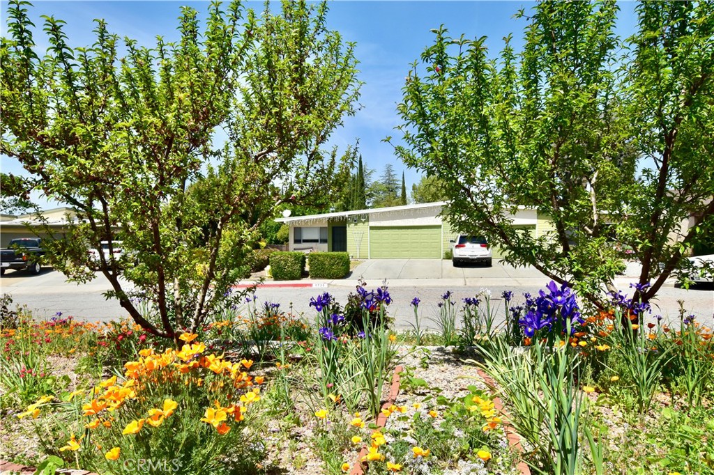 1740 Lark Ellen Drive