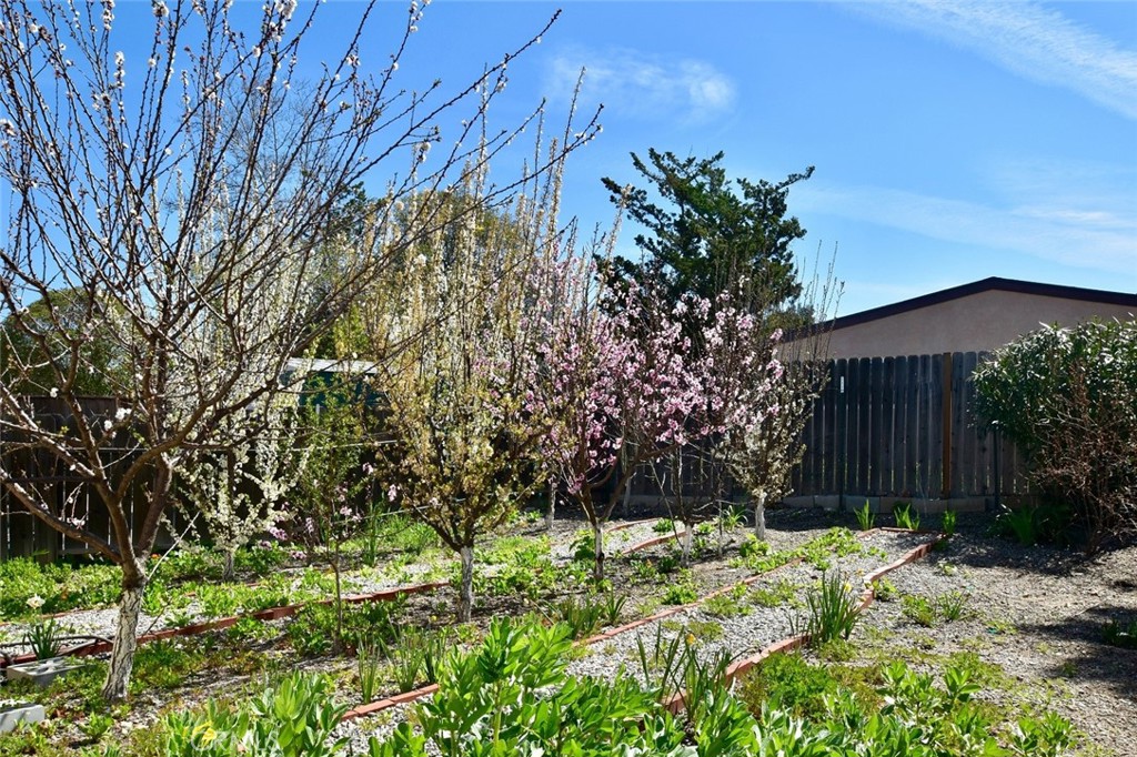 1740 Lark Ellen Drive