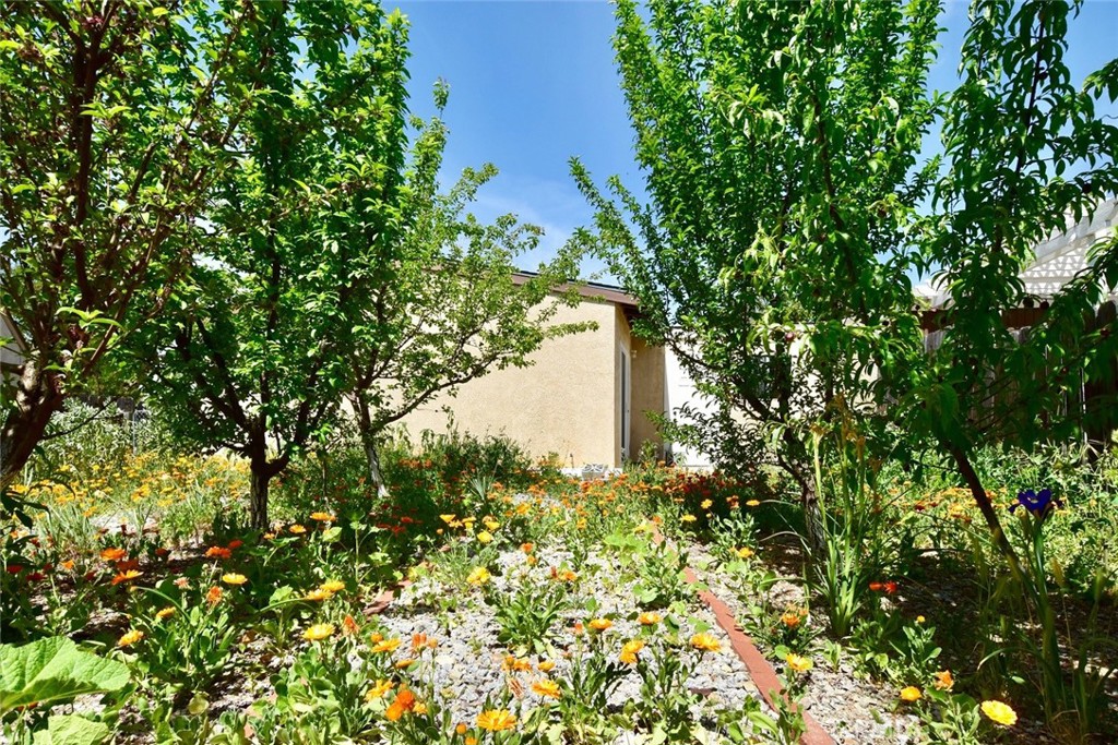 1740 Lark Ellen Drive