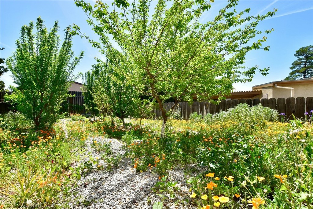 1740 Lark Ellen Drive