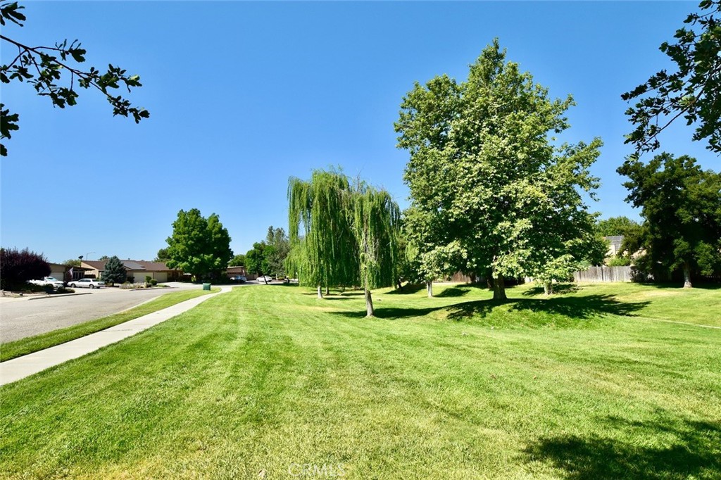 1038 Turtle Creek Road