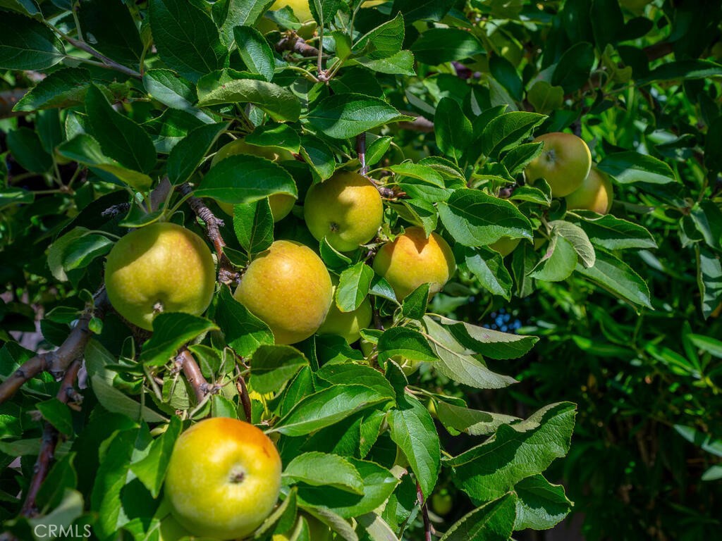 802 Sycamore Canyon Road