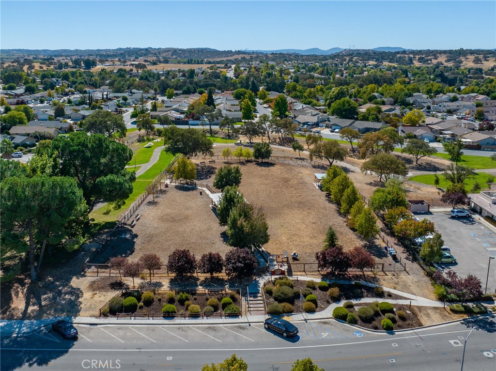 1703 Lark Ellen Drive