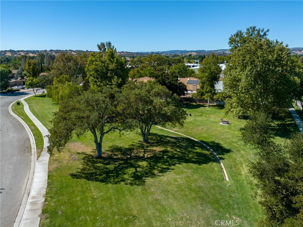 1703 Lark Ellen Drive