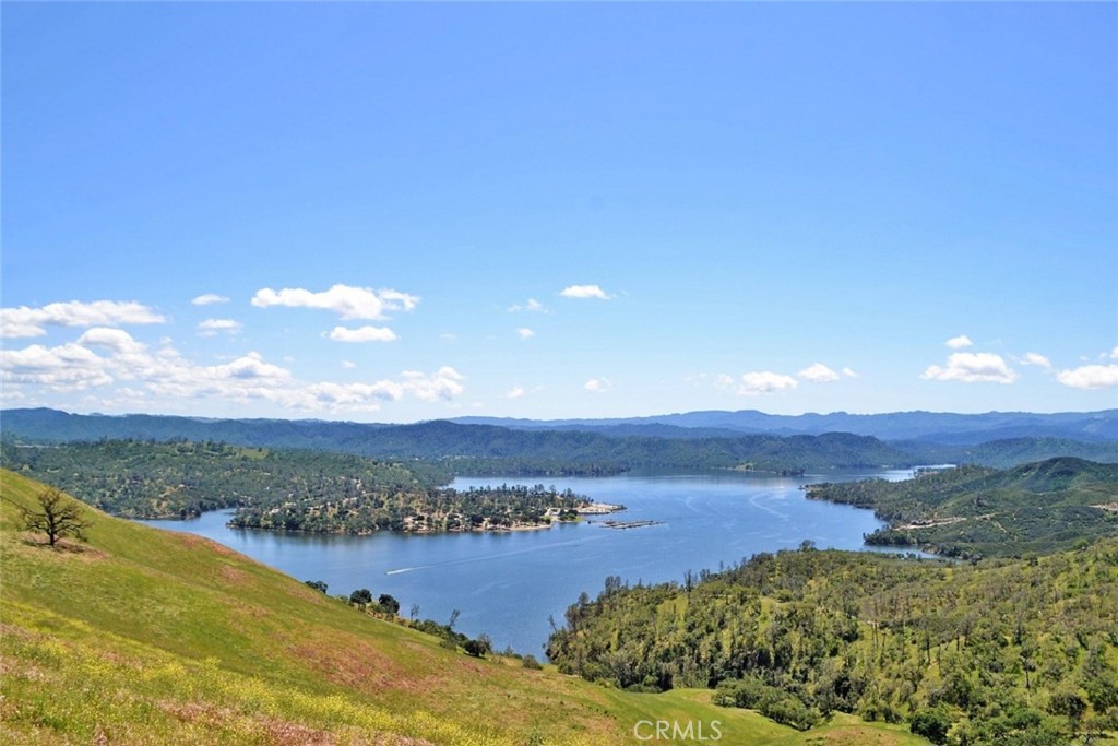 4137 Quarterhorse Way