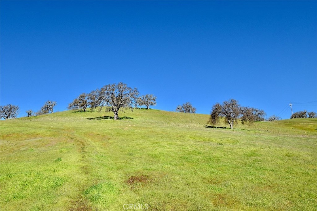 4137 Quarterhorse Way