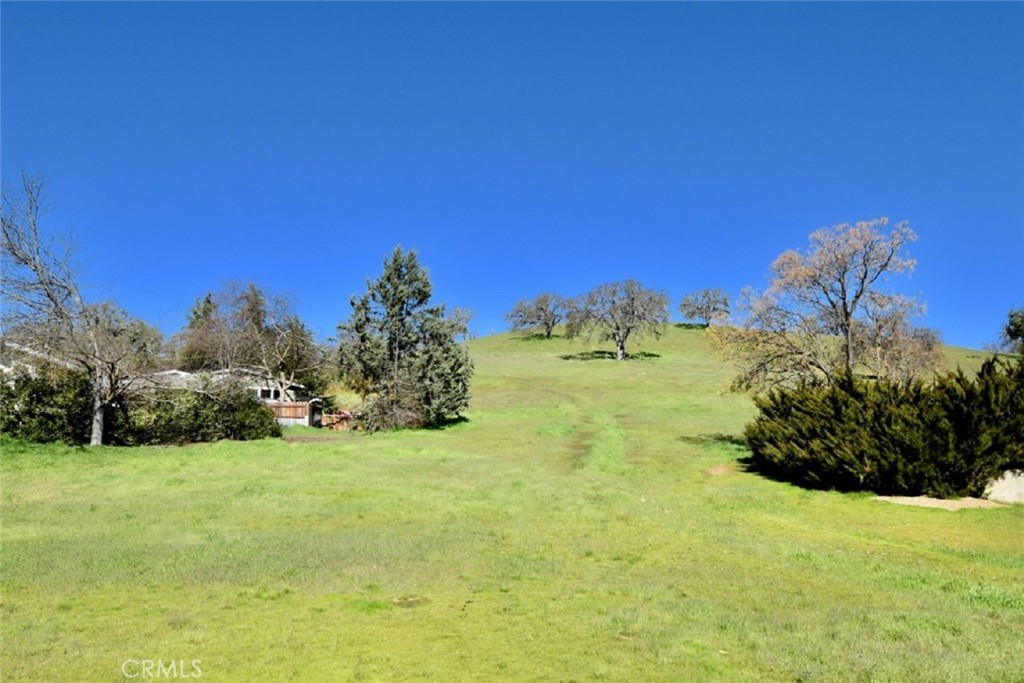 4137 Quarterhorse Way