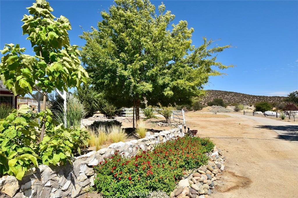 76980 San Antonio Road