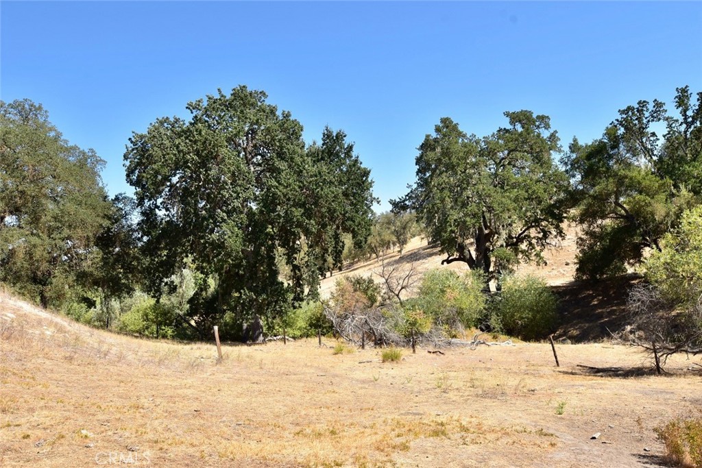 76980 San Antonio Road