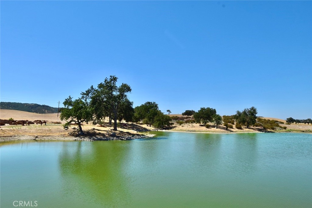 76980 San Antonio Road