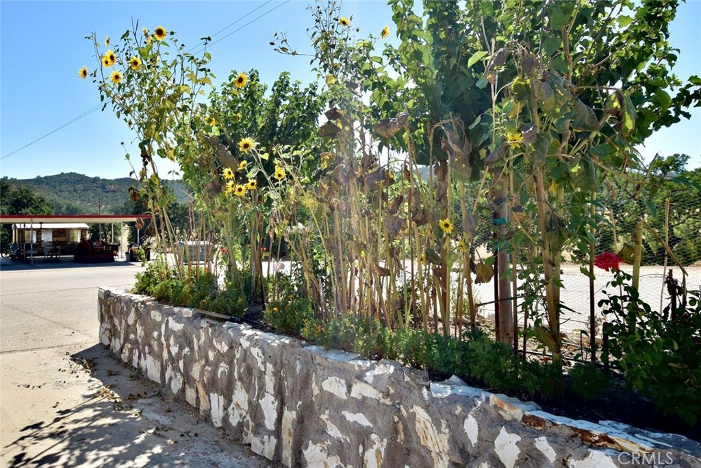 76980 San Antonio Road