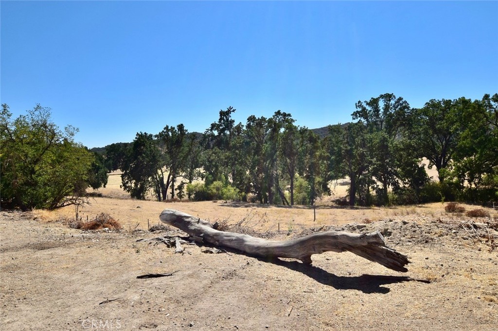 76980 San Antonio Road