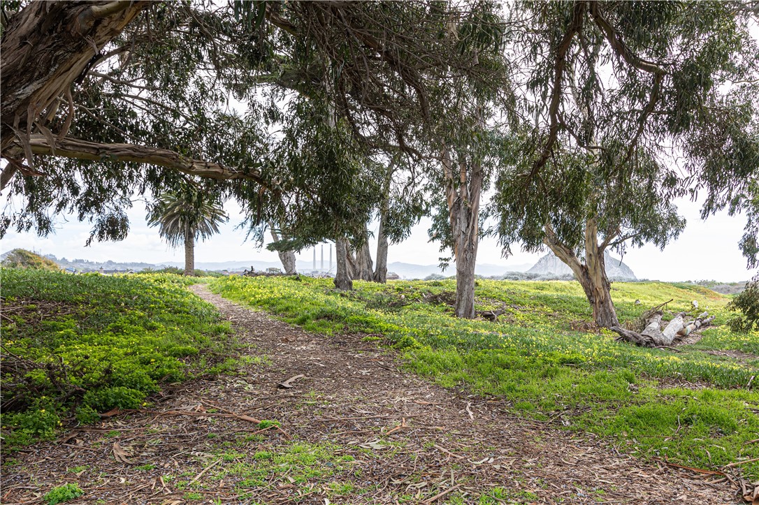 3001 Sandalwood Avenue