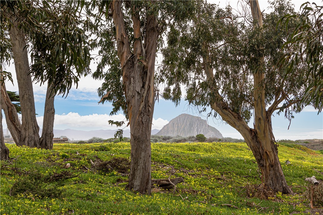 3001 Sandalwood Avenue