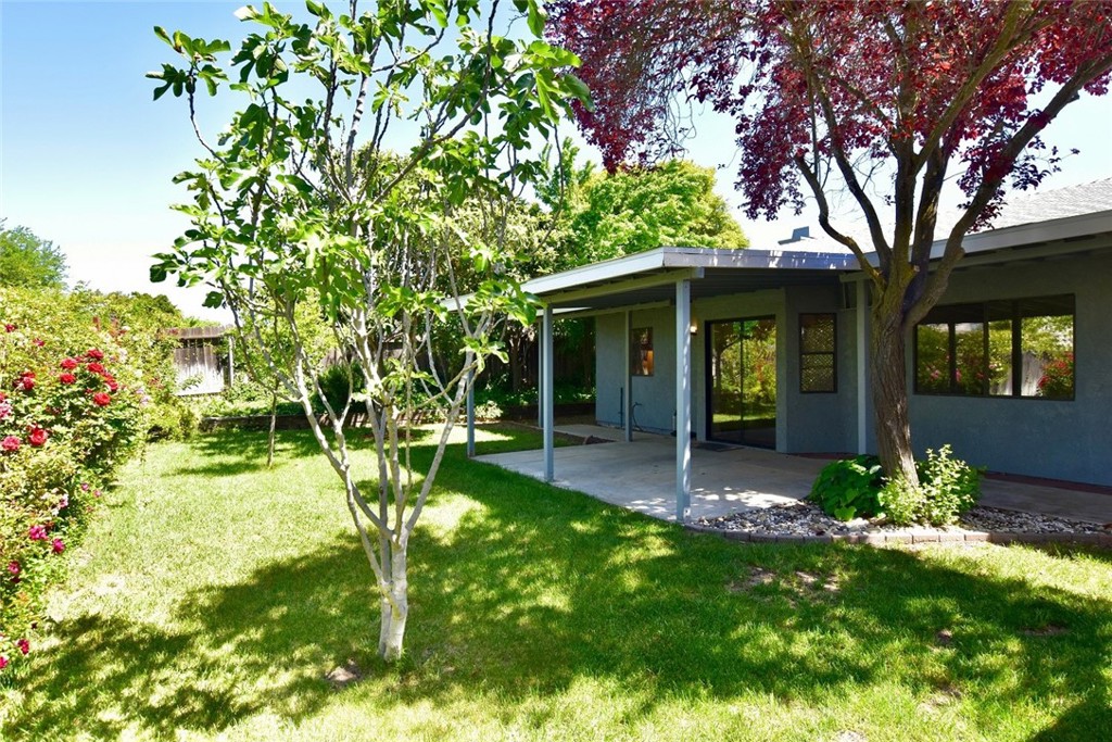 369 Quarterhorse Lane