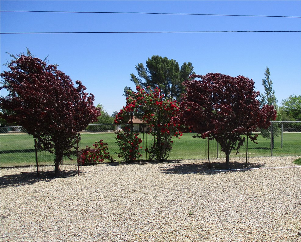 1523 Country Club Drive