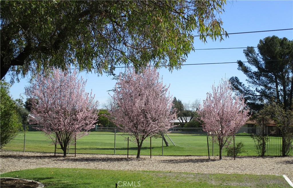 1523 Country Club Drive