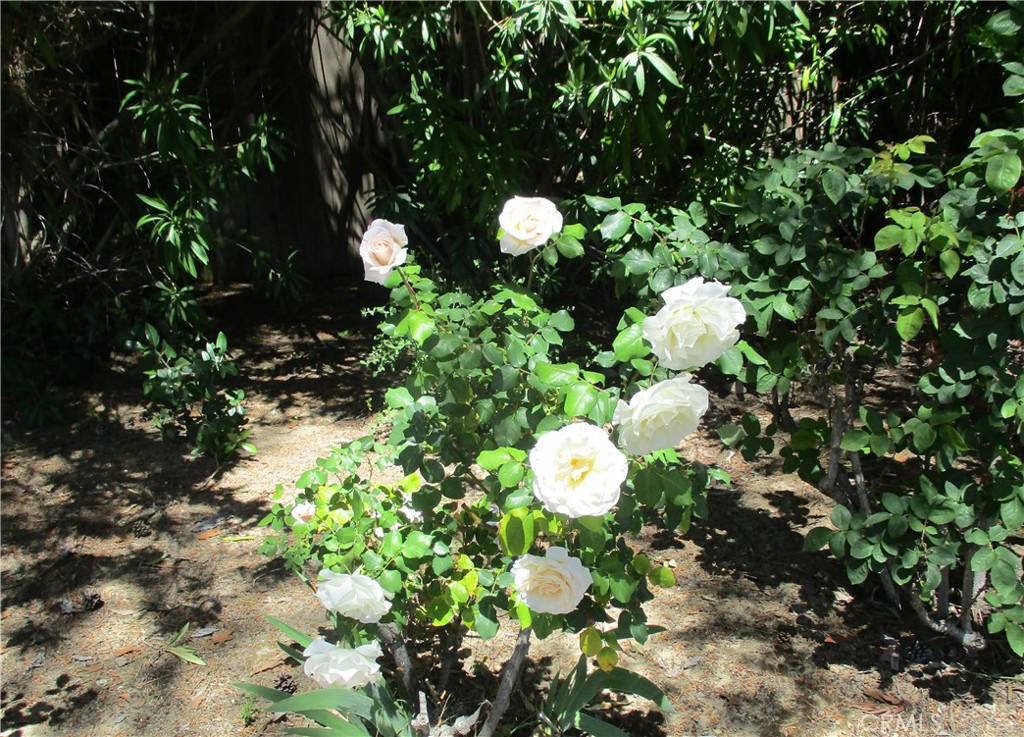 1523 Country Club Drive