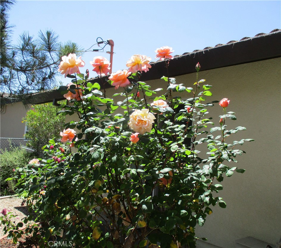 1523 Country Club Drive