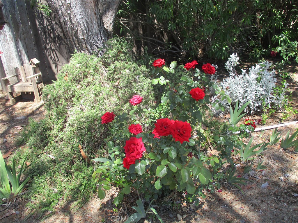 1523 Country Club Drive