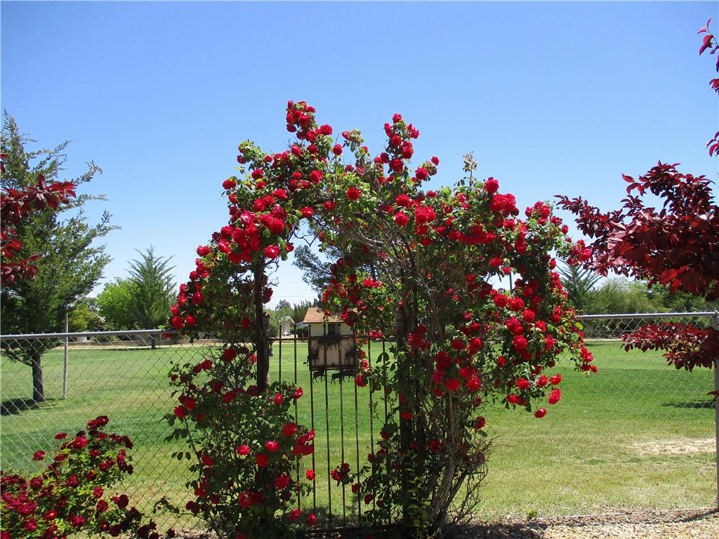 1523 Country Club Drive