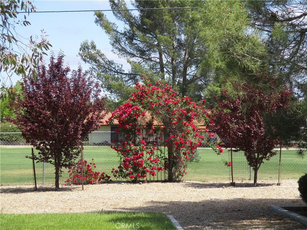 1523 Country Club Drive