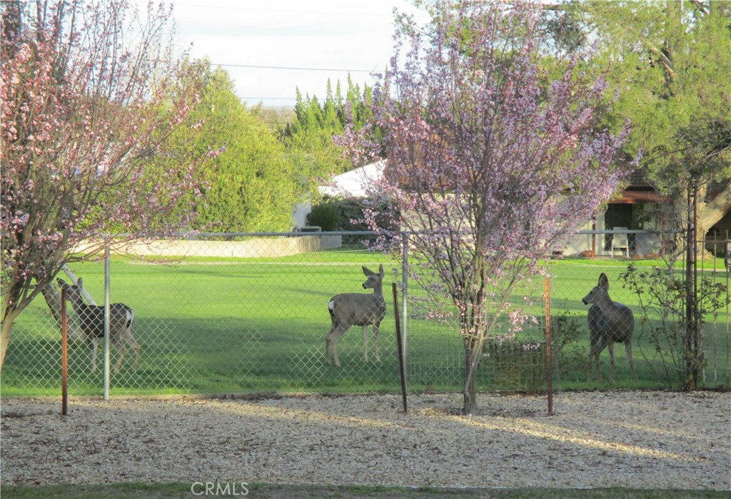 1523 Country Club Drive