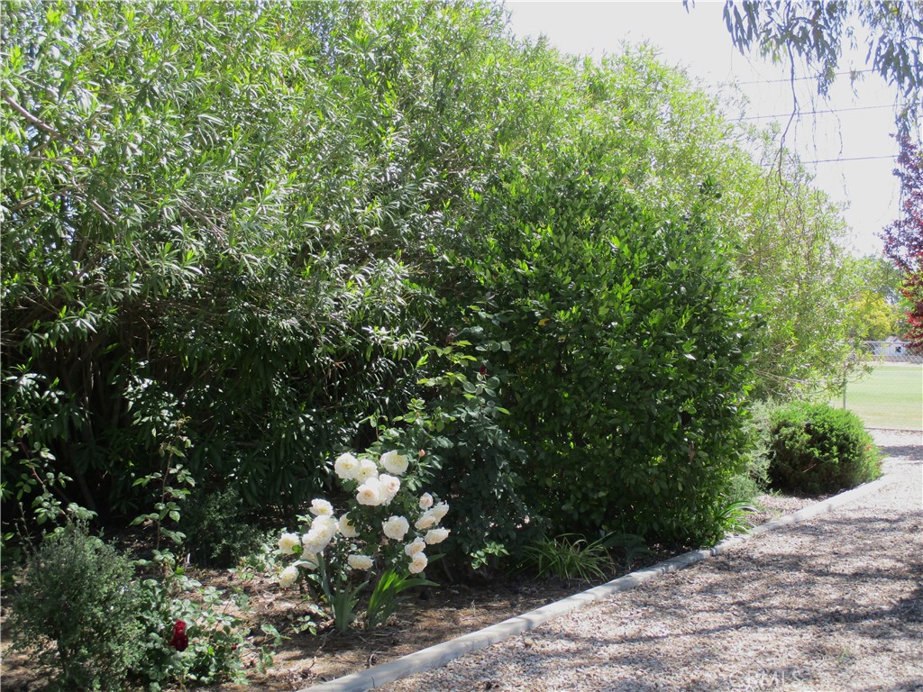 1523 Country Club Drive