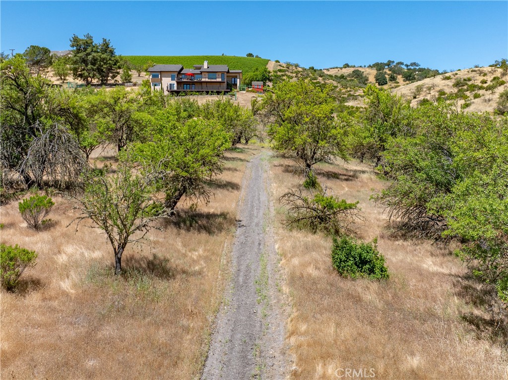 1240 Mountain Springs Road