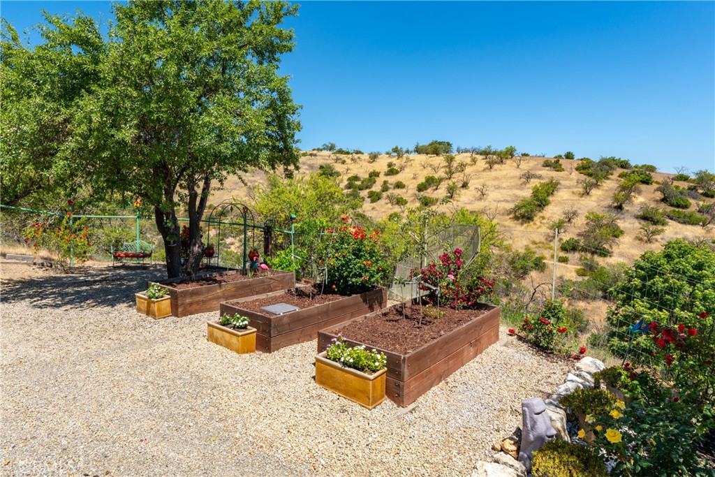 1240 Mountain Springs Road