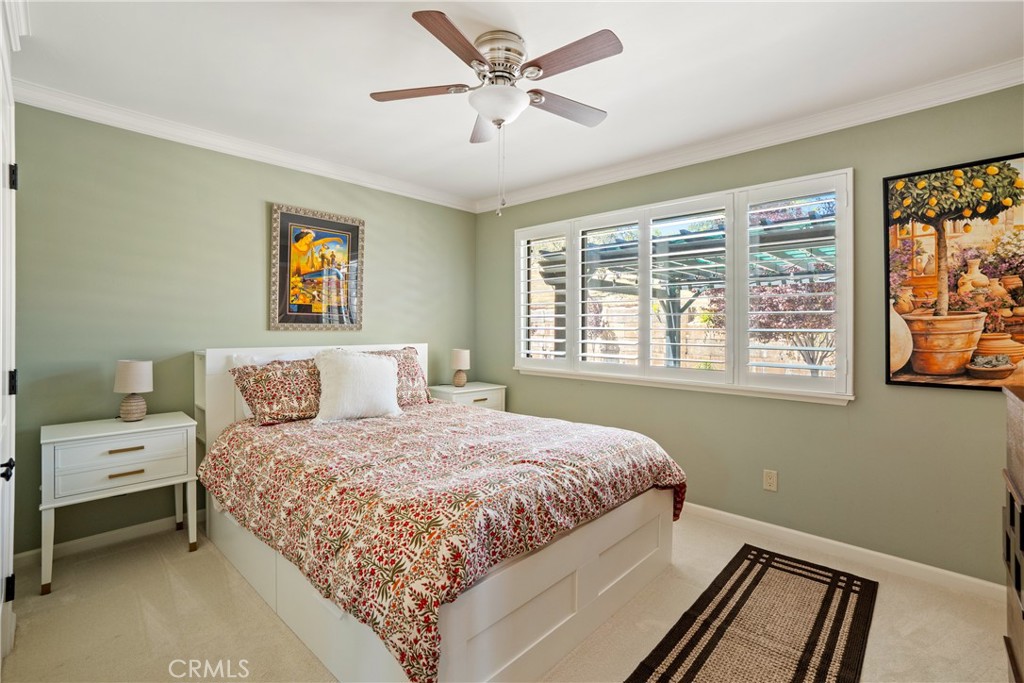 1240 Mountain Springs Road