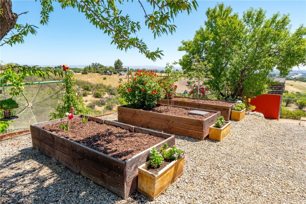 1240 Mountain Springs Road