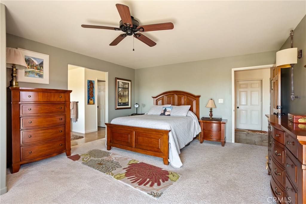 1240 Mountain Springs Road