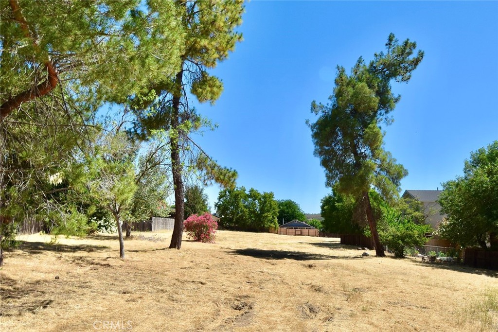 1995 Green Brook Lane