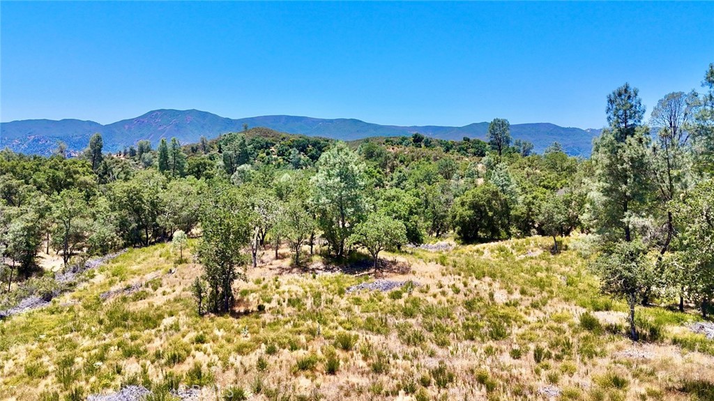 0 Bryson Hesperia Road