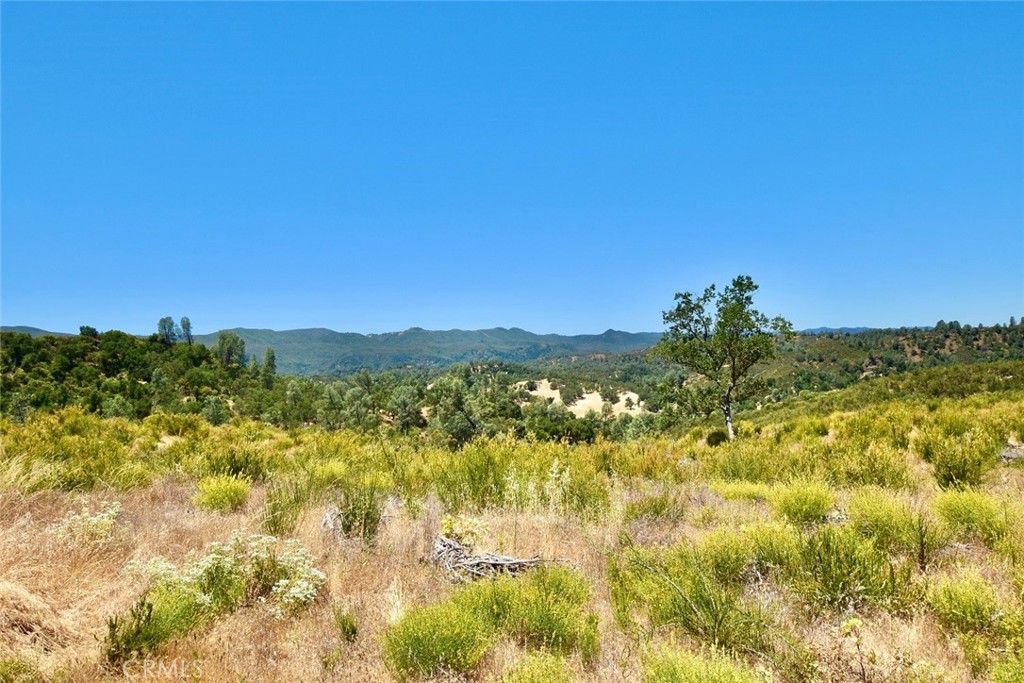 0 Bryson Hesperia Road